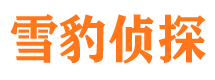 天桥外遇调查取证